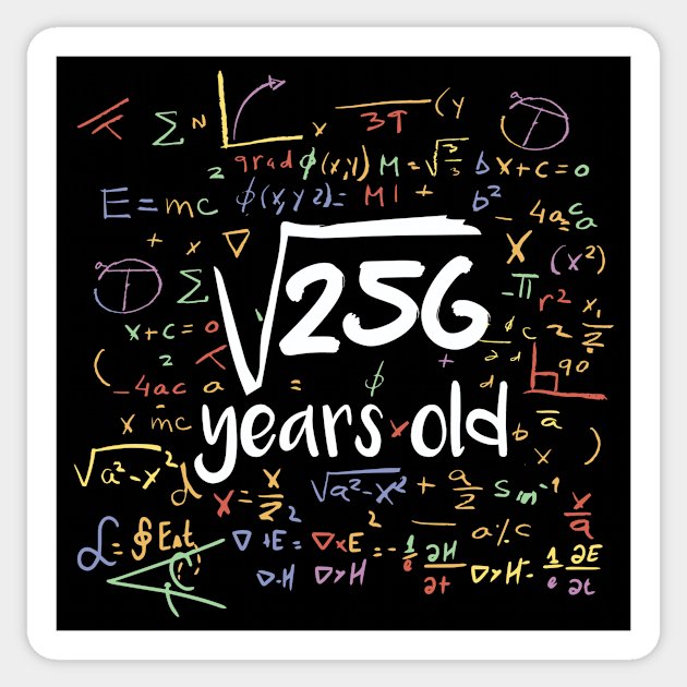 Square Root Of 256 Years Old Funny Math Birthday 16 Years Old 